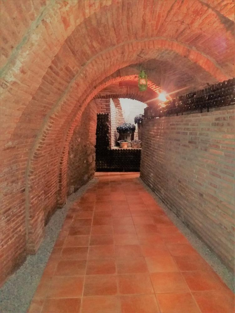 Hotel Rey Sancho نافاريتيه المظهر الخارجي الصورة